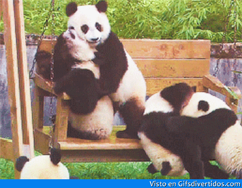 best of Pandas panda with save