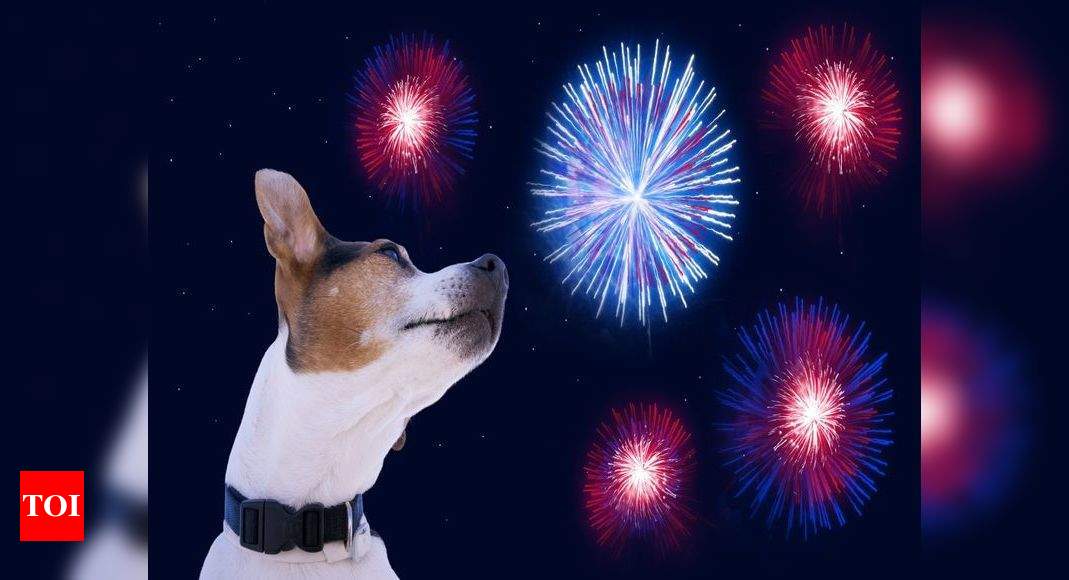 Chardonnay reccomend fireworks cover screams holidays