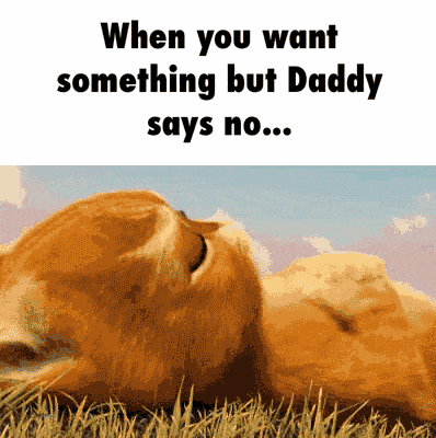 Brown S. reccomend daddy said bedtime play time