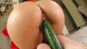 Roar reccomend fuck with cucumber everything very