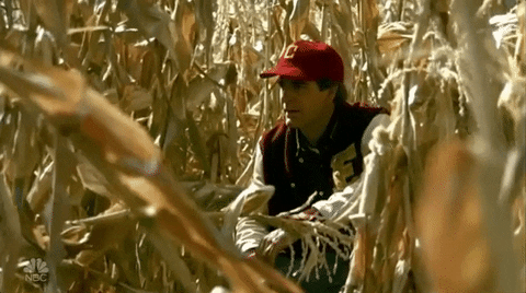 Guard recommendet peeing corn maze